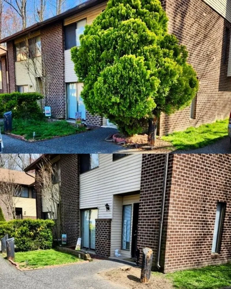 Trusted landscaping services for homes across Woodbury, NJ - Clean Edge Lawn Solutions