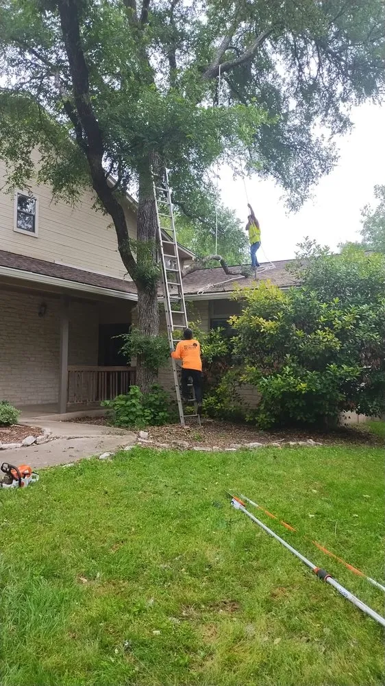 Top-rated outdoor landscaping for outdoor upgrades in Austin, TX by Clean Freaks