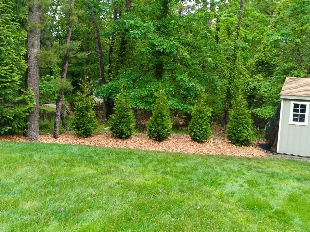 Expert garden landscaping experts serving Hammonton, NJ - Clean Garden Landscaping