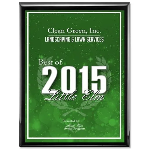 Professional yard cleanup service for residential properties across Crossroads, TX - Clean Green