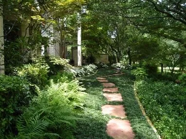 Custom lawn care service in Crossroads, TX - Clean Green
