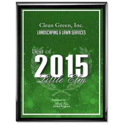 Clean Green Logo