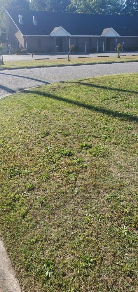 Custom lawn mowing service in Greenville, NC by Clean Green Landscaping
