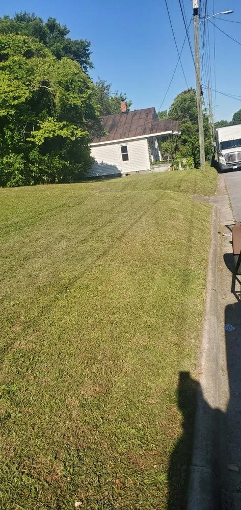 Reliable landscape installation in Greenville, NC by Clean Green Landscaping