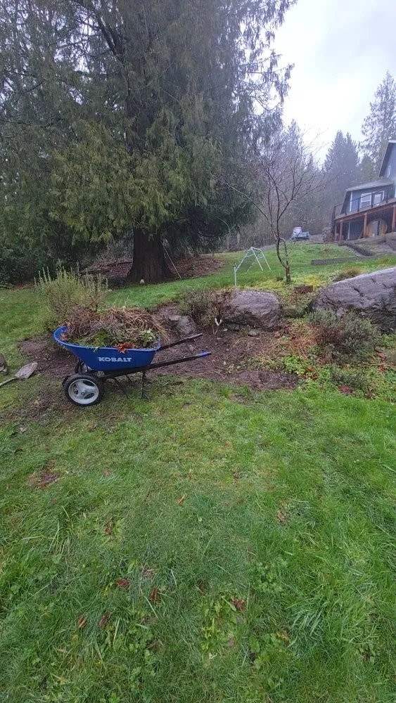 Reliable landscape installation in Covington, WA by Clean Green Landscaping Services