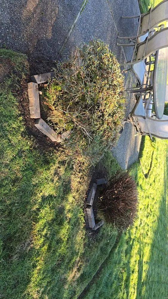 Top-rated yard maintenance in Covington, WA - Clean Green Landscaping Services