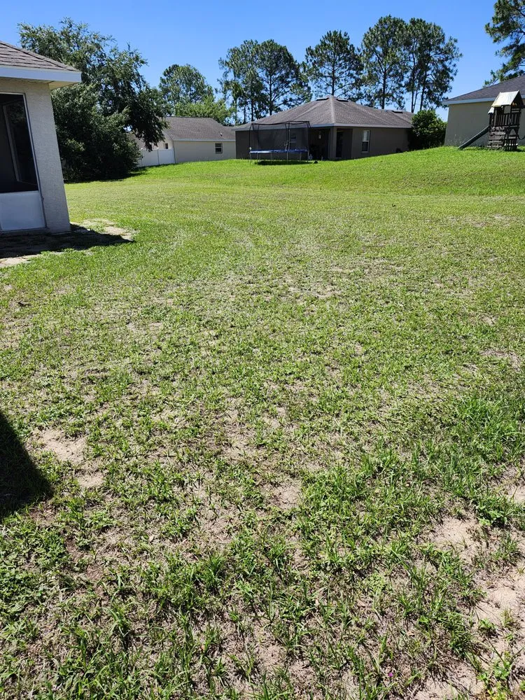 Local lawn care service for homes across Leesburg, FL - Clean Green Lawn Service