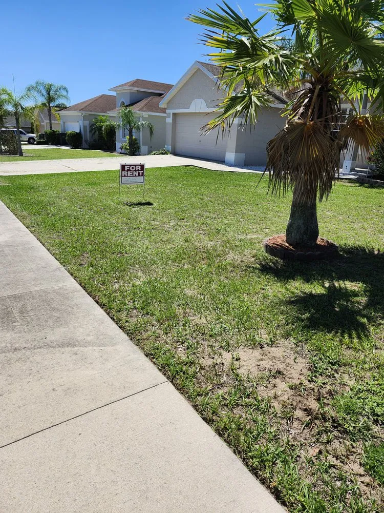 Trusted outdoor landscaping for year-round maintenance in Leesburg, FL by Clean Green Lawn Service