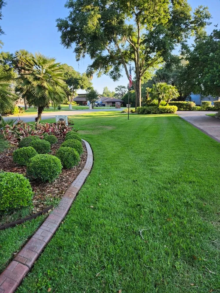 Professional yard cleanup service in Leesburg, FL - Clean Green Lawn Service