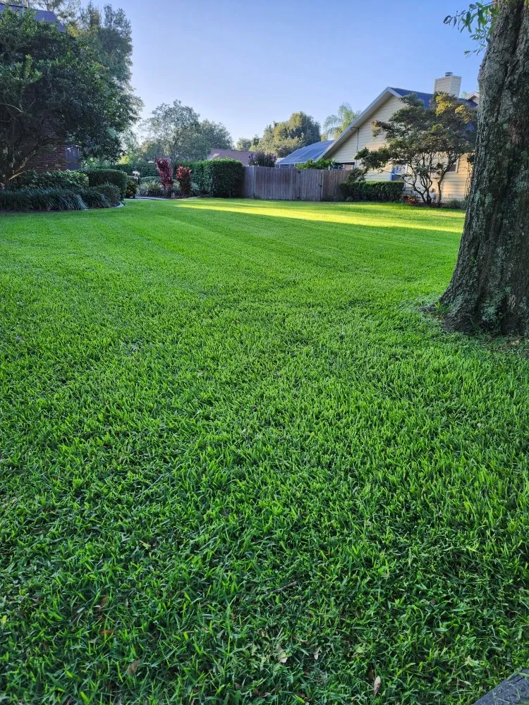 Professional outdoor landscaping experts serving Leesburg, FL - Clean Green Lawn Service
