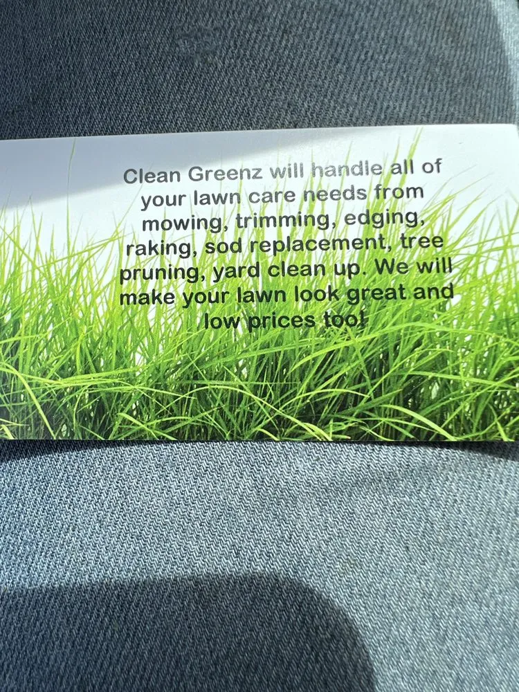 Reliable landscape design in Ocala, FL by Clean Greenz