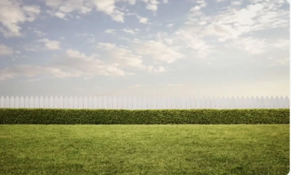 Top-rated landscape installation for year-round maintenance in Ocala, FL by Clean Greenz