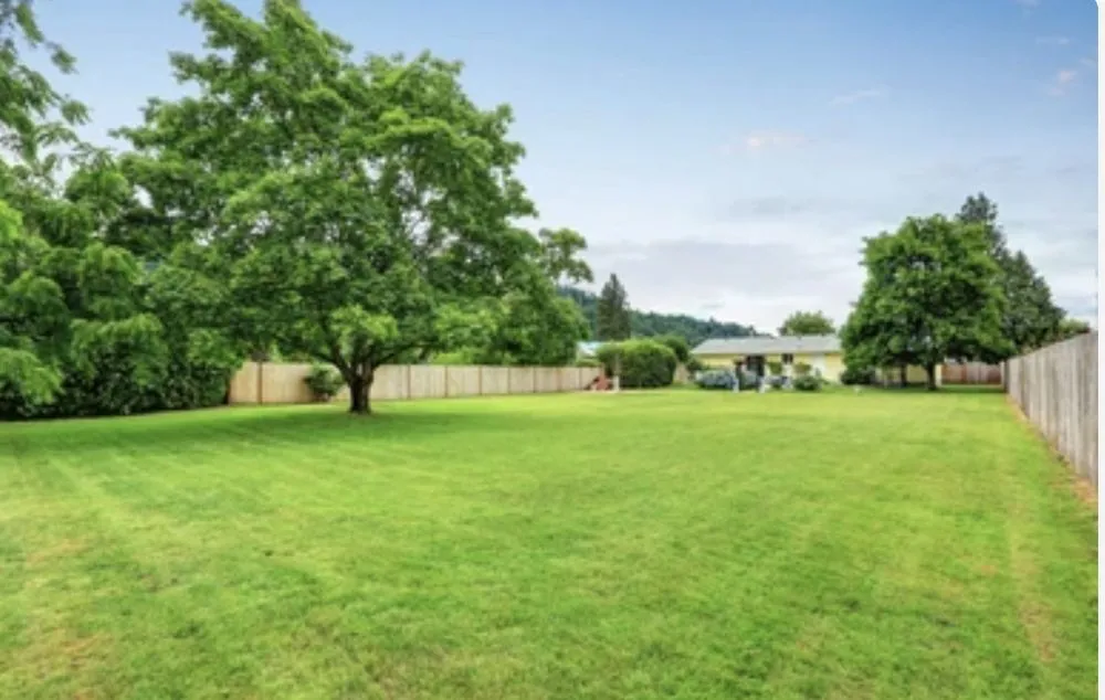 Custom residential landscaping for year-round maintenance across Ocala, FL - Clean Greenz