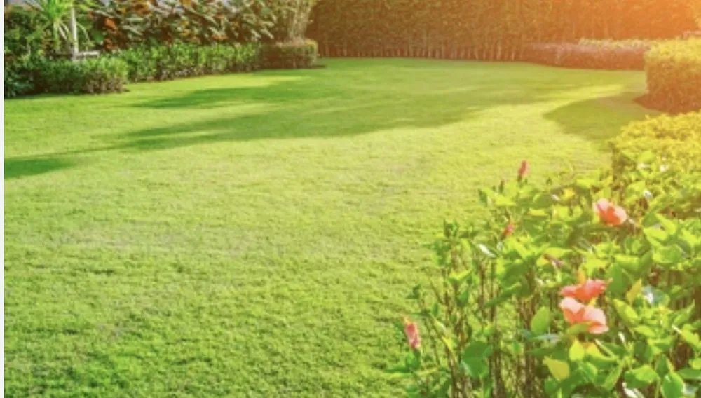 Expert landscape design for residential properties in Ocala, FL by Clean Greenz