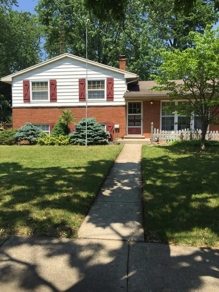 Expert yard cleanup service in Temperance, MI - Clean It Up Property Services