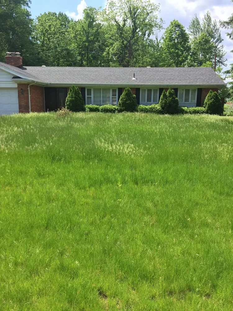 Local lawn care service for homes across Temperance, MI - Clean It Up Property Services