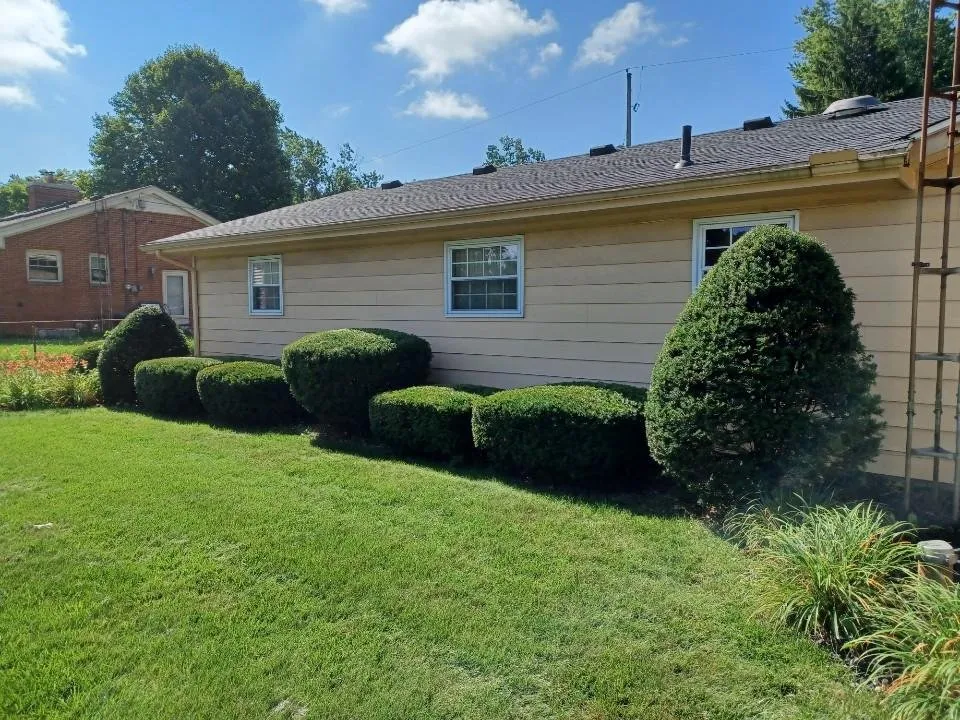 Affordable lawn care service experts serving Temperance, MI - Clean It Up Property Services