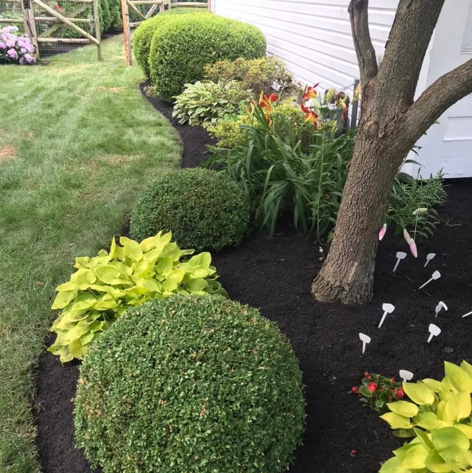 Professional lawn mowing service for residential properties across Temperance, MI - Clean It Up Property Services