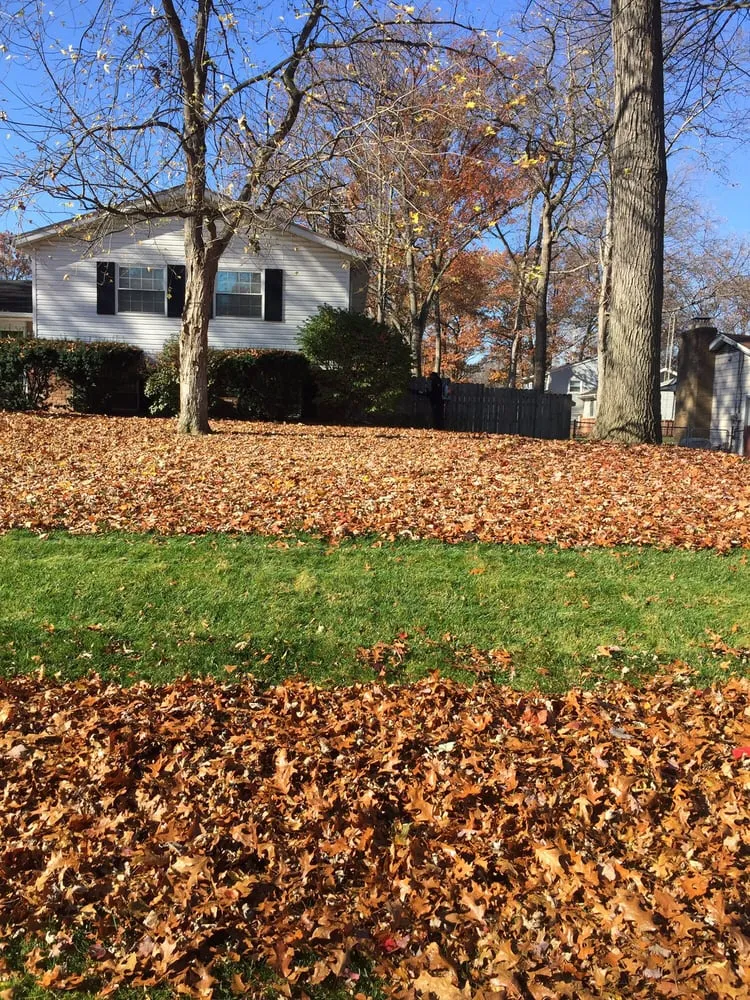 Reliable landscape installation in Temperance, MI by Clean It Up Property Services