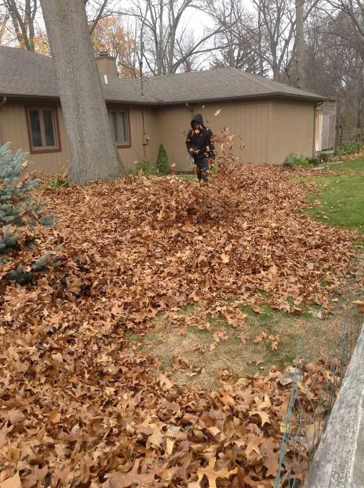 Top-rated lawn mowing service for residential properties across Temperance, MI - Clean It Up Property Services