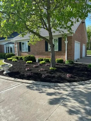 Clean It Up Property Services