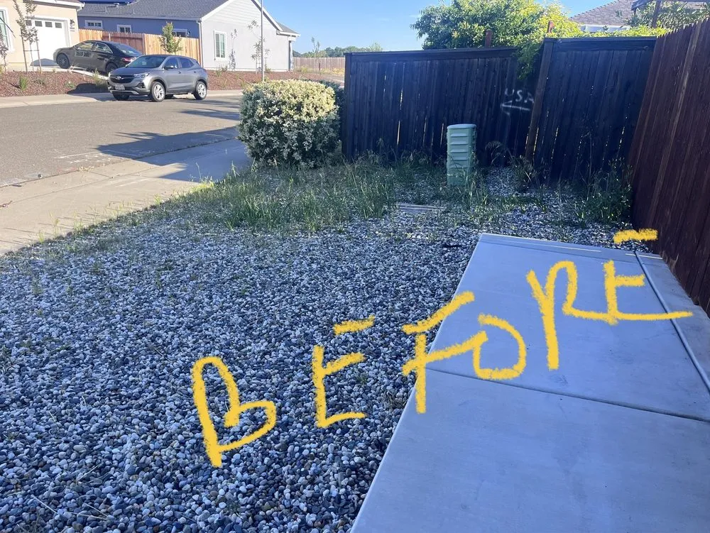 Trusted residential landscaping for residential properties across Sacramento, CA - Clean Kept Lawn Care