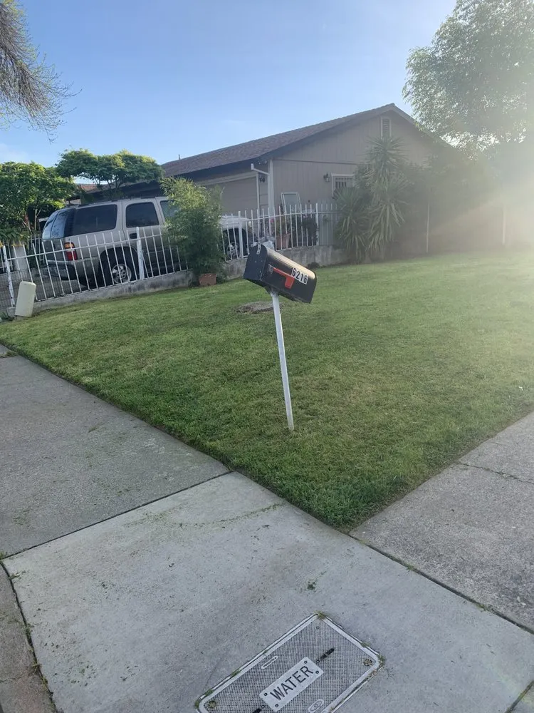 Expert landscape installation for beautiful yards across Sacramento, CA - Clean Kept Lawn Care