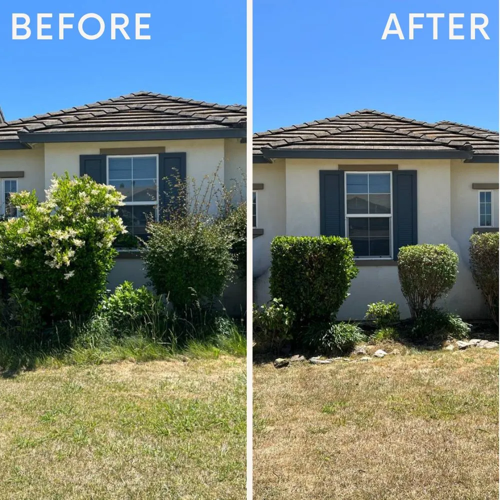 Top-rated landscape installation in Sacramento, CA by Clean Kept Lawn Care