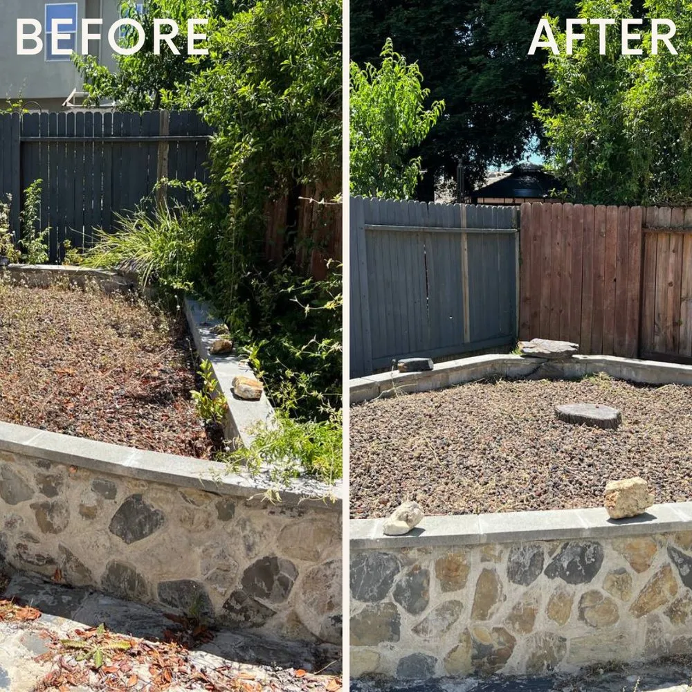 Affordable landscape design for residential properties across Sacramento, CA - Clean Kept Lawn Care