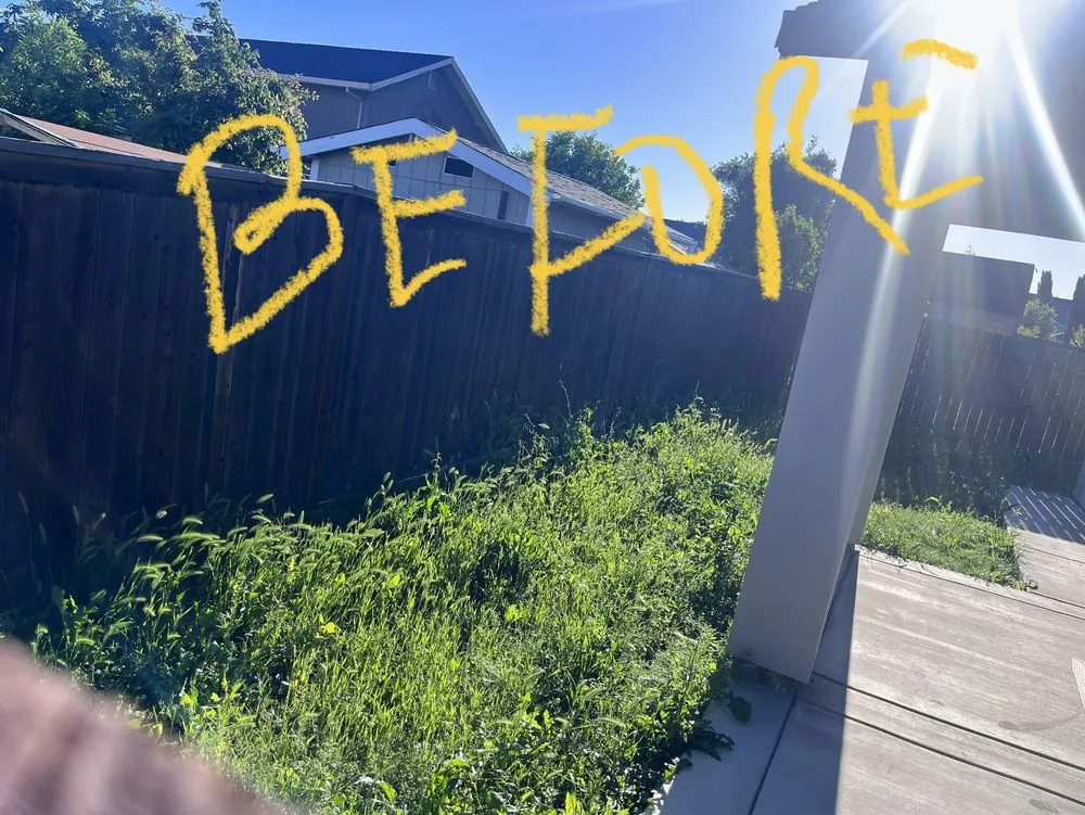 Local lawn care service in Sacramento, CA by Clean Kept Lawn Care