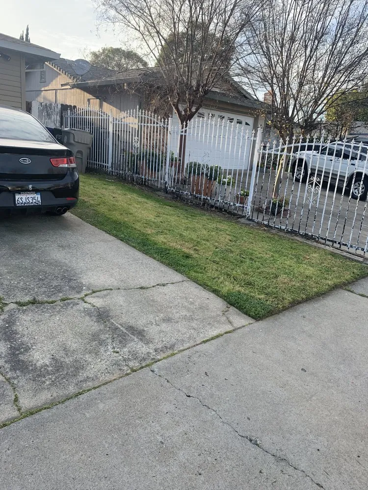 Professional outdoor landscaping in Sacramento, CA - Clean Kept Lawn Care