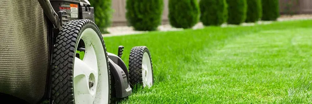 Professional yard maintenance experts serving Waterbury, CT - Clean Landscapes
