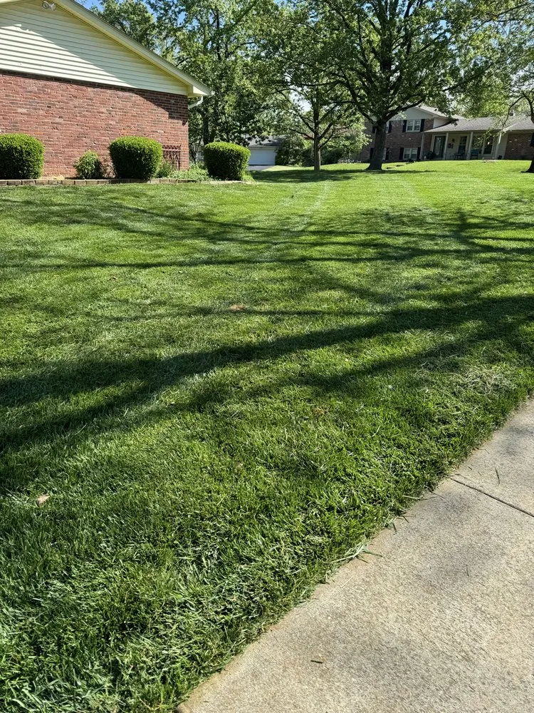 Custom lawn care service experts serving St. Louis, MO - Clean Landscaping