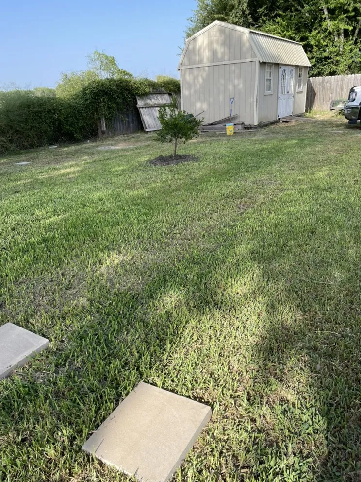 Affordable yard cleanup service near you across Kingsville, TX - Clean Lawn Services