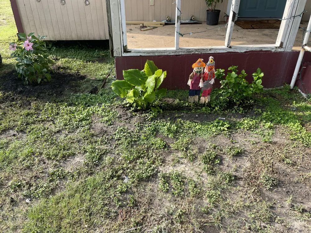 Professional garden landscaping in Kingsville, TX - Clean Lawn Services