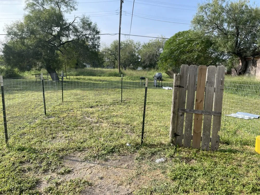 Reliable lawn care service experts serving Kingsville, TX - Clean Lawn Services