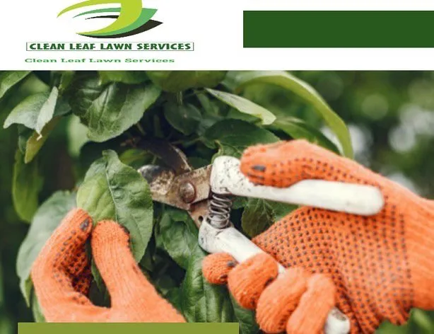 Professional yard cleanup service in New Orleans, LA by Clean Leaf Lawn Services