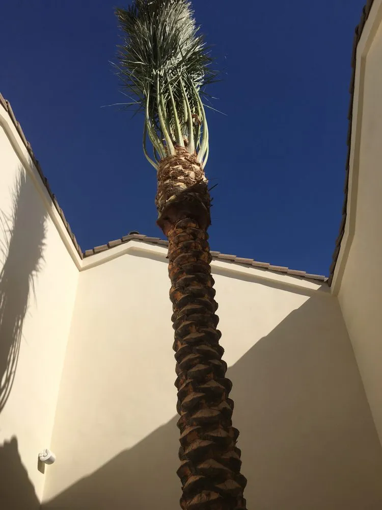 Local outdoor landscaping near you in Clovis, CA by Clean Line Landscape