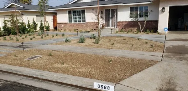 Clean Line Landscape Logo