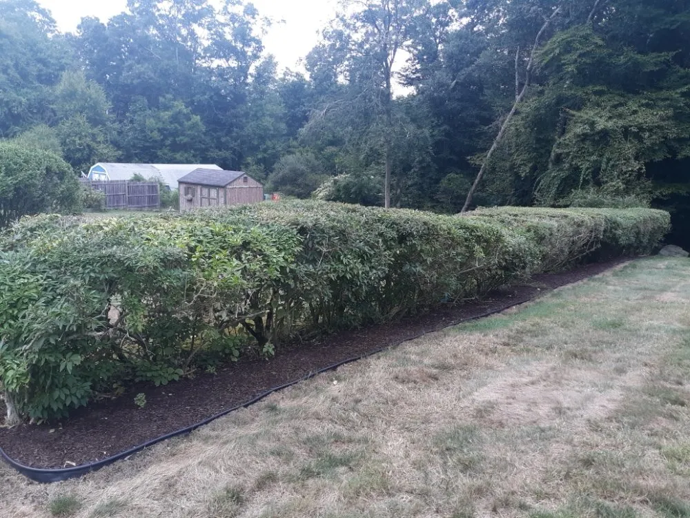 Local landscape installation in Westport, MA - Clean Lines Painting Lawn and Landscape