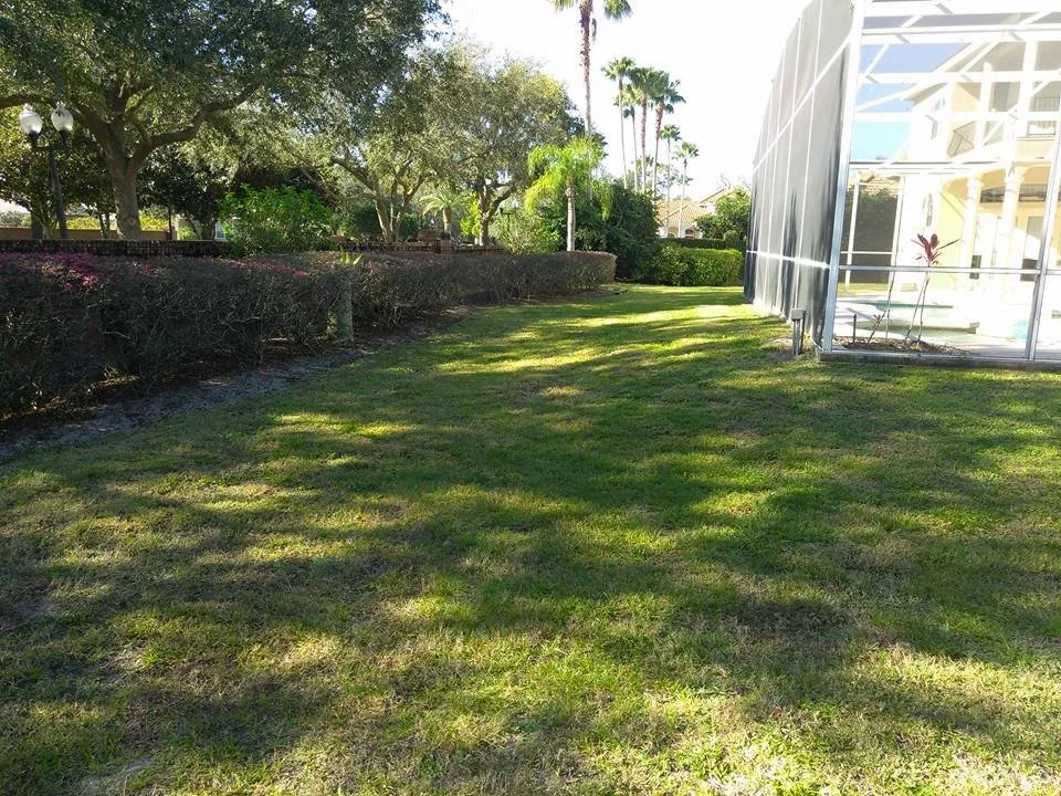 Custom residential landscaping experts serving Sanford, FL - Clean Look Landscape