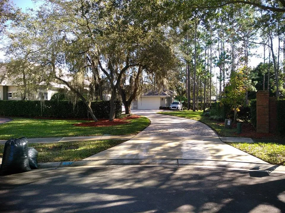 Reliable landscape design for beautiful yards across Sanford, FL - Clean Look Landscape