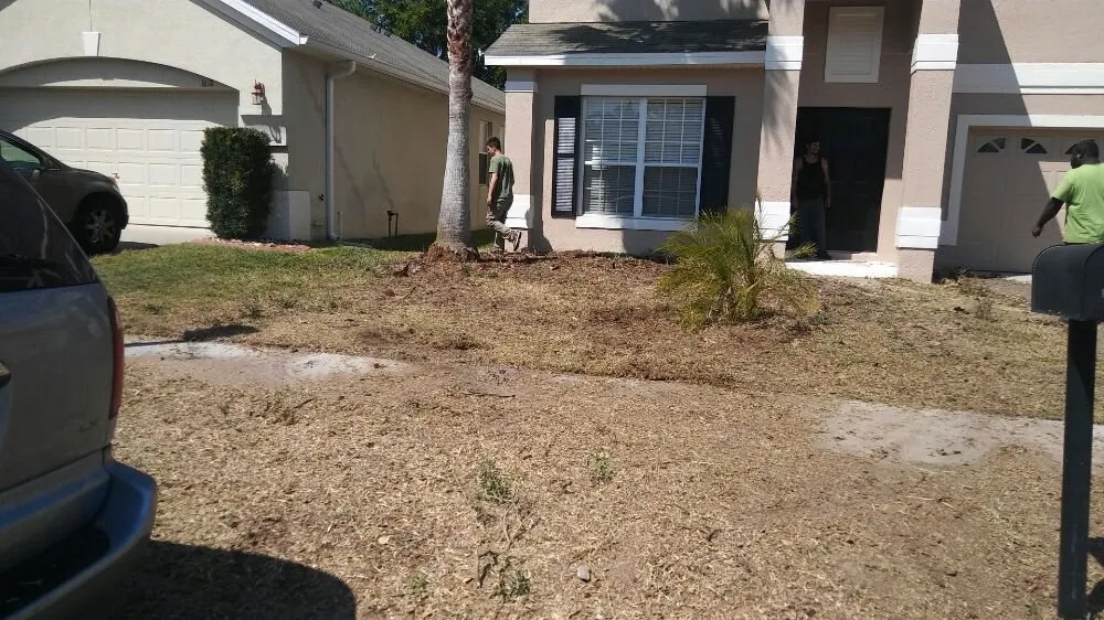 Affordable residential landscaping in Sanford, FL by Clean Look Landscape