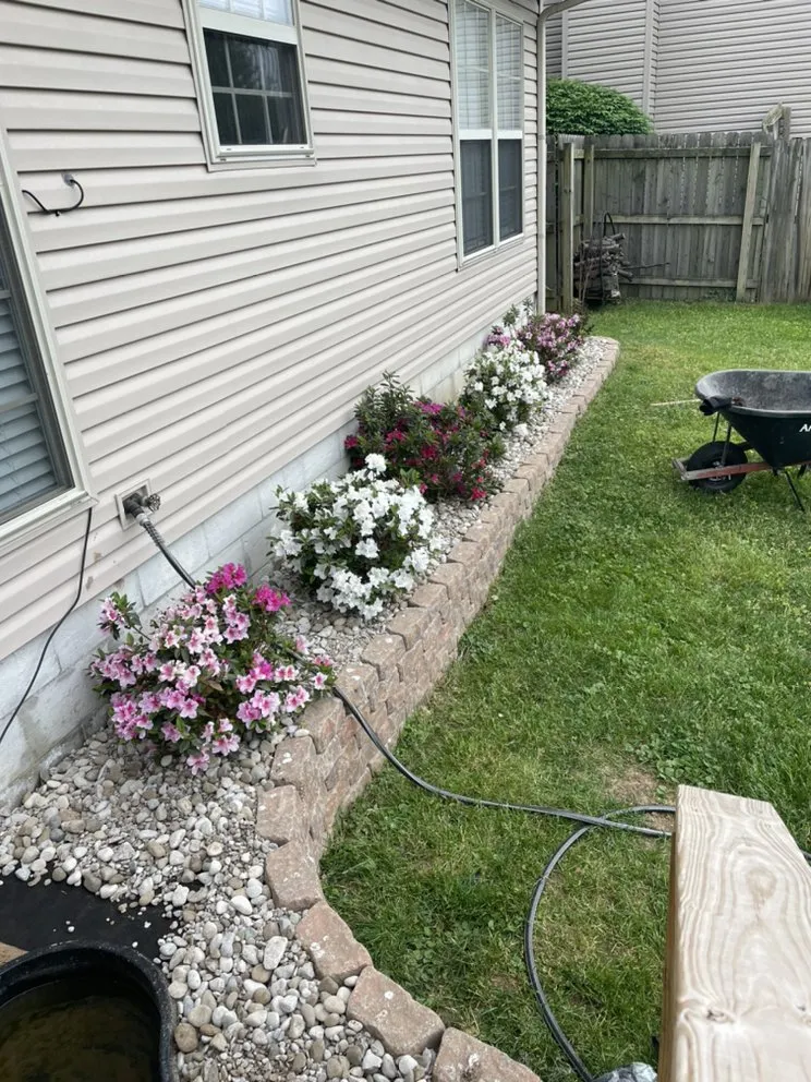 Local yard cleanup service experts serving Nicholasville, KY - Clean Mowing