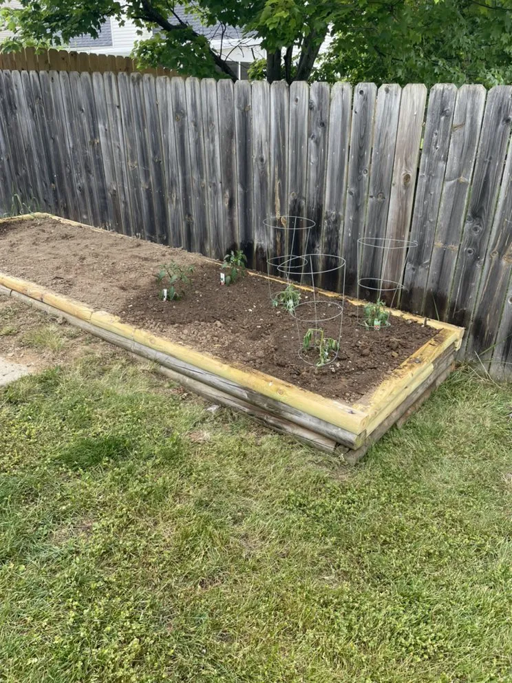 Expert landscaping services for outdoor upgrades in Nicholasville, KY by Clean Mowing