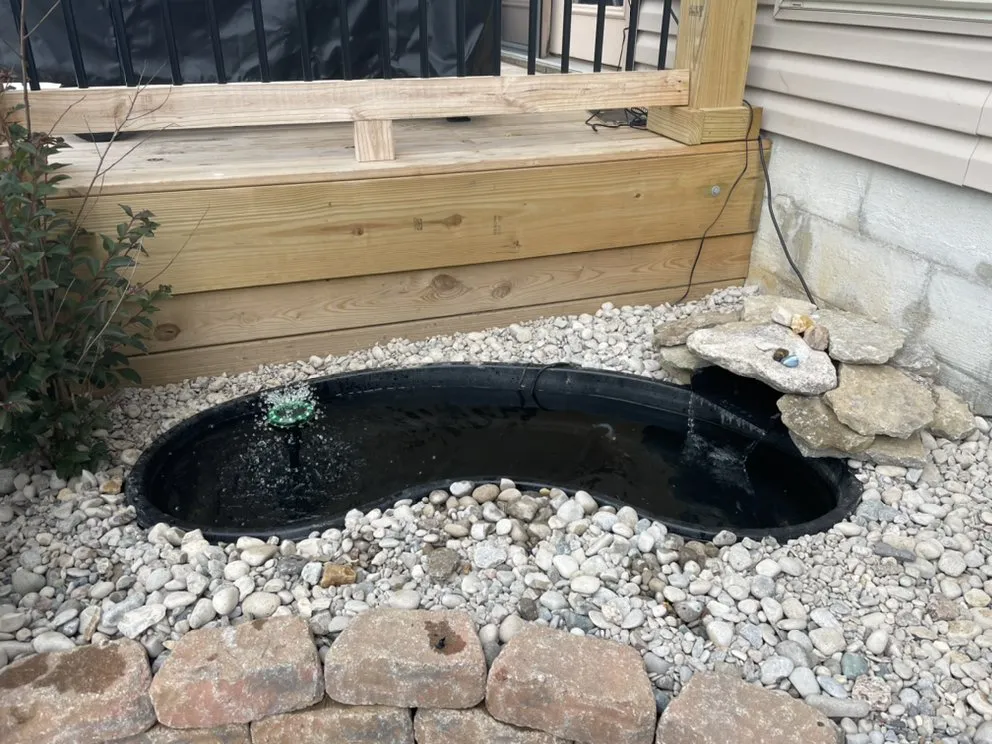 Local yard maintenance in Nicholasville, KY by Clean Mowing