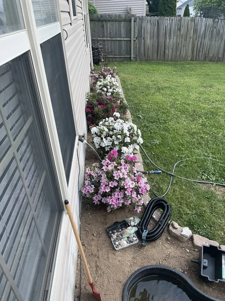 Professional yard maintenance in Nicholasville, KY - Clean Mowing