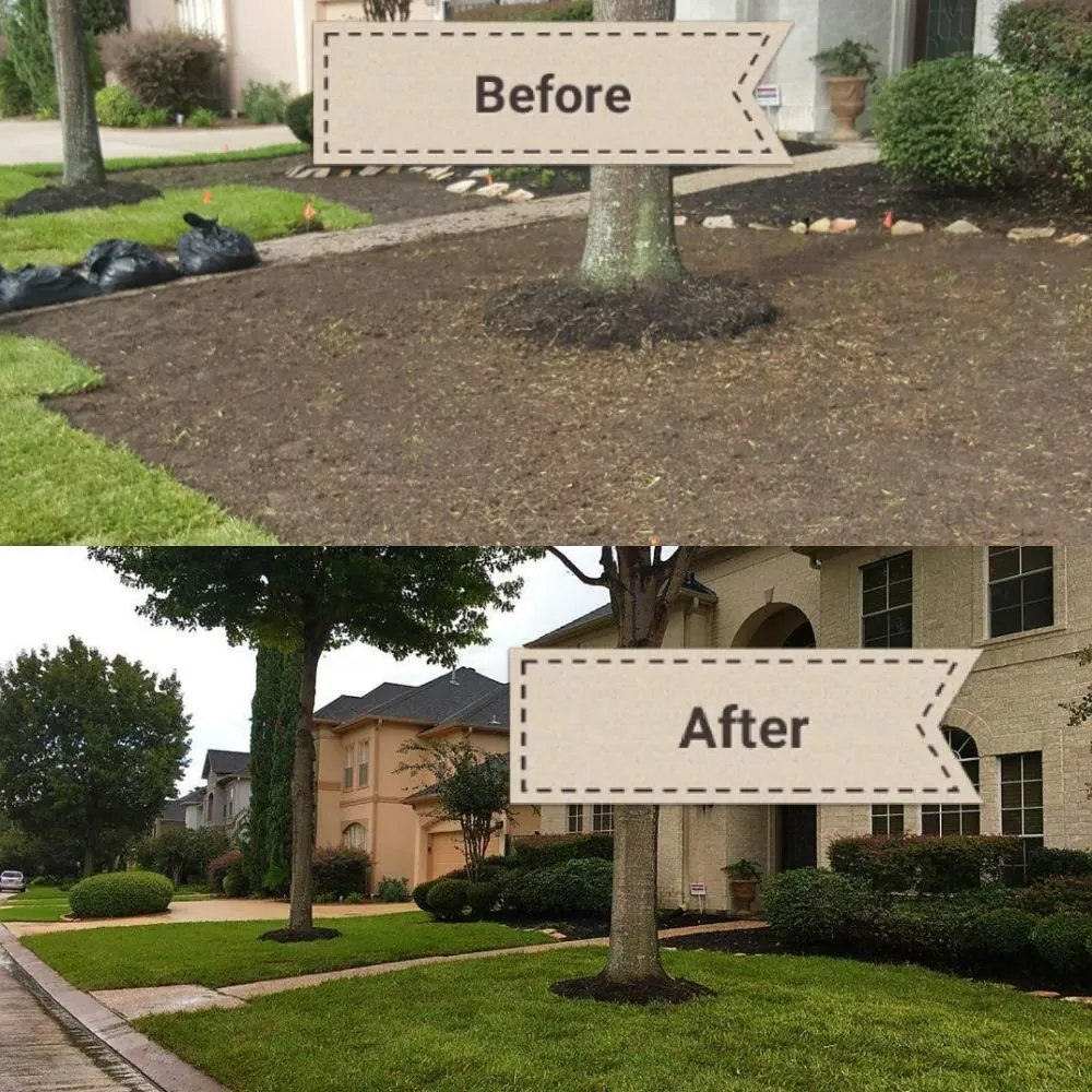 Top-rated lawn care service experts serving Katy, TX - Clean My House