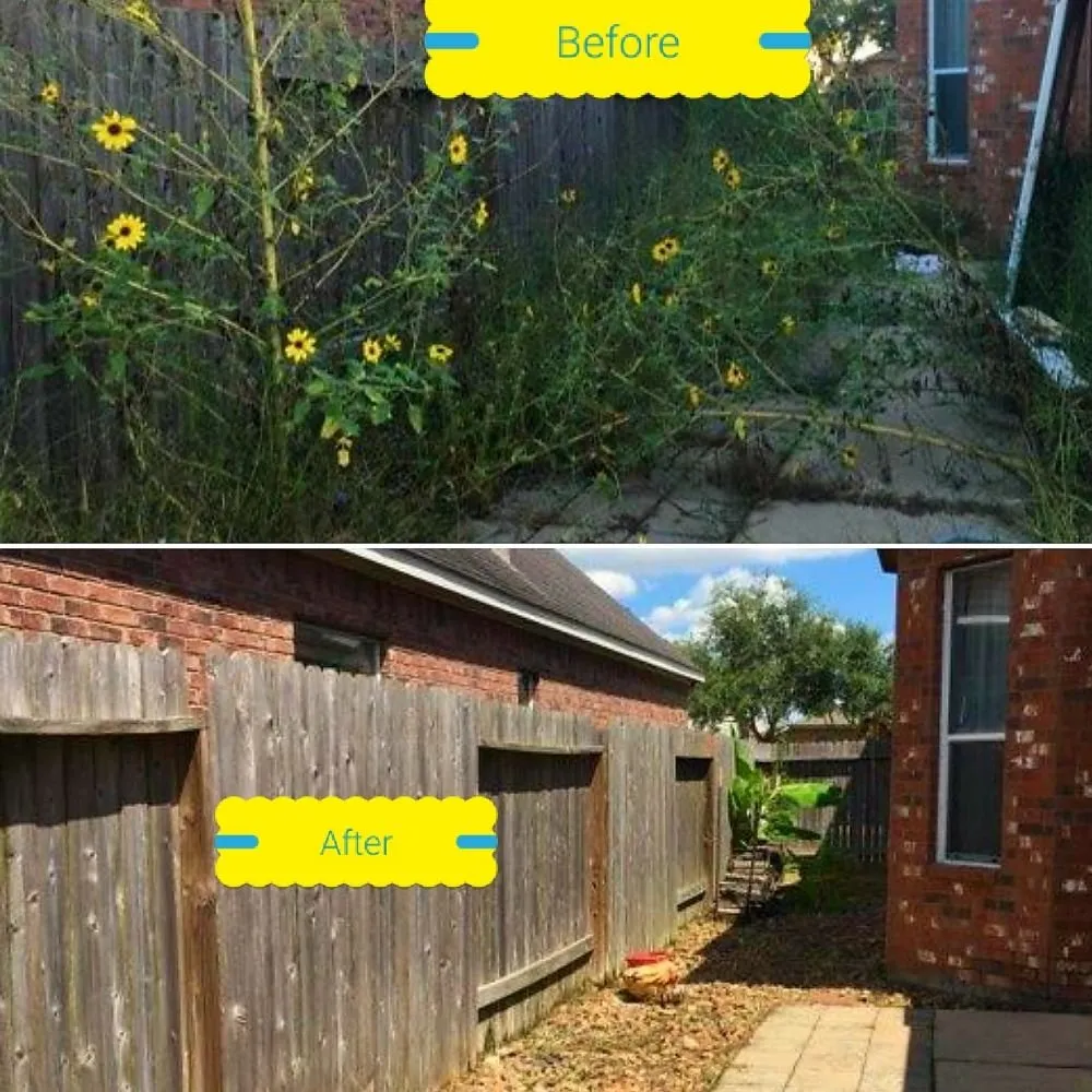 Trusted lawn care service experts serving Katy, TX - Clean My House