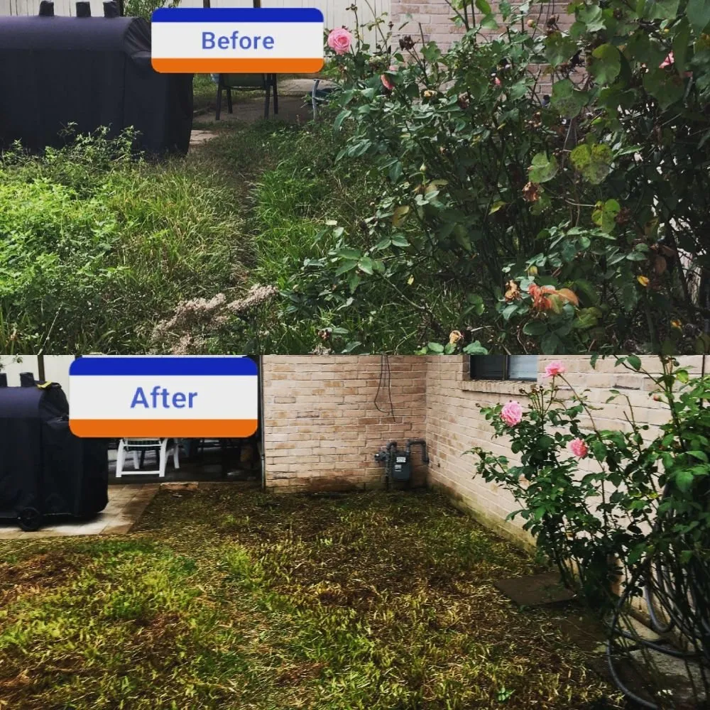 Top-rated landscape installation in Katy, TX - Clean My House